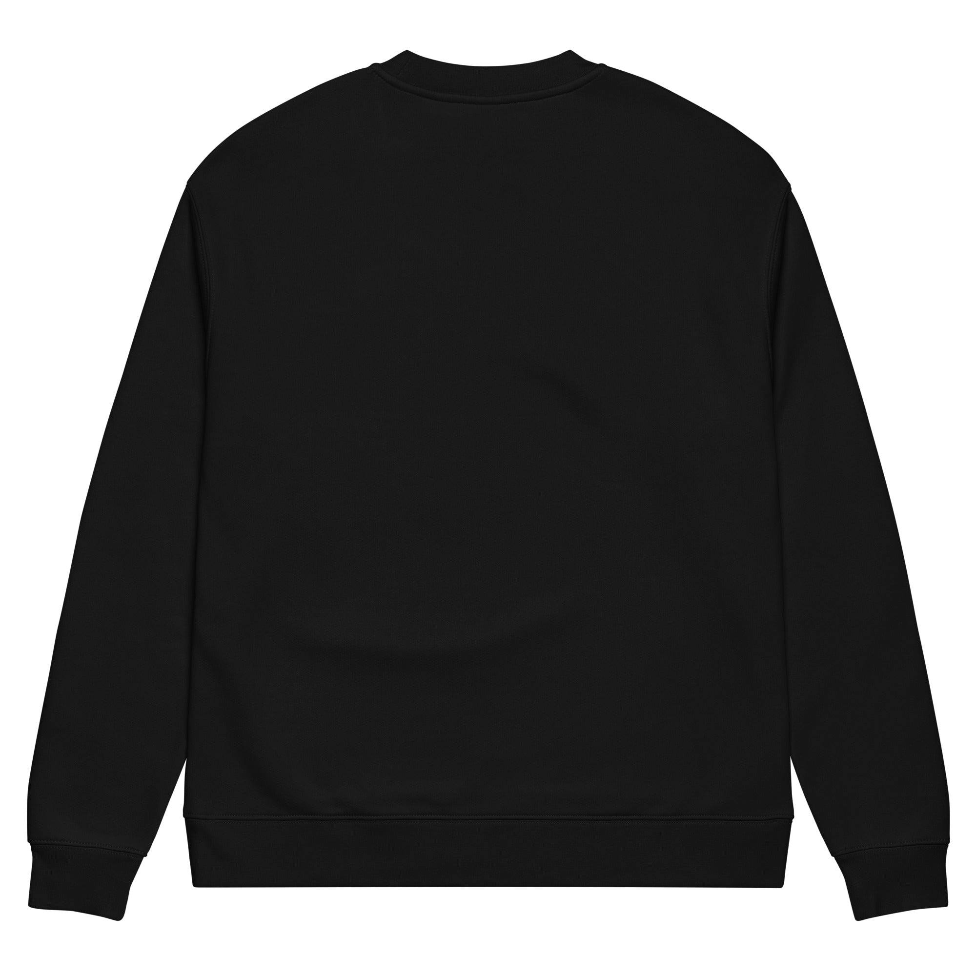 RXSG Vintage Crew Neck Sweatshirt Back Flat
