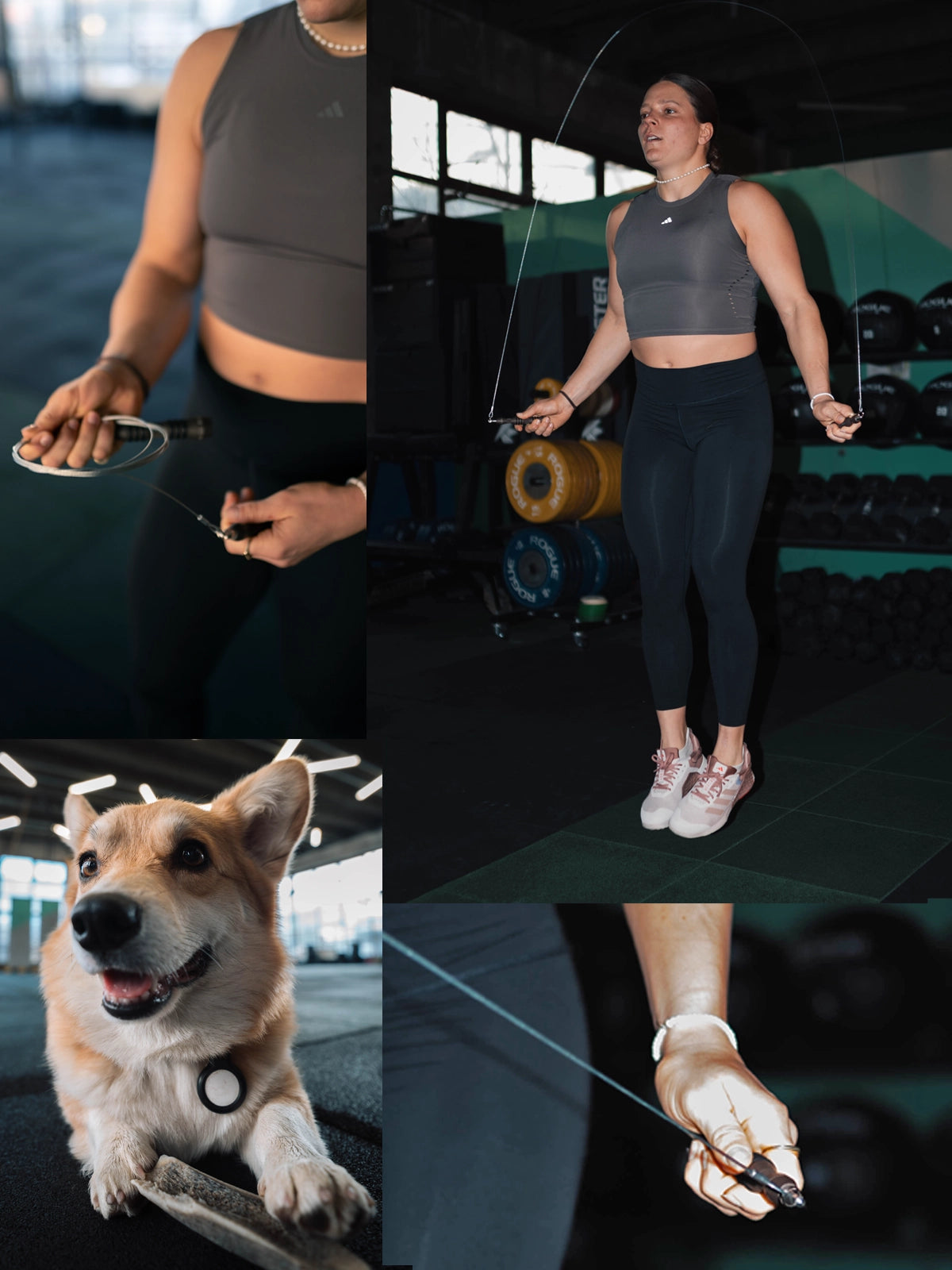 RXSG Jump Ropes
